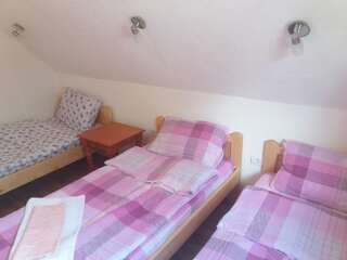 Гостевой дом Guest House Vukicevic Жабляк Классический трехместный номер-4