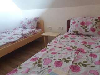 Гостевой дом Guest House Vukicevic Жабляк Двухместный номер с 2 отдельными кроватями и окном-5