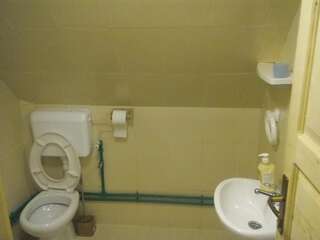 Гостевой дом Guest House Vukicevic Жабляк Классический трехместный номер-8