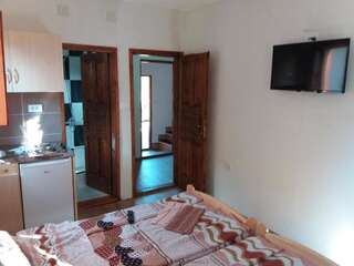 Гостевой дом Guest House Vukicevic Жабляк Номер-студио-30